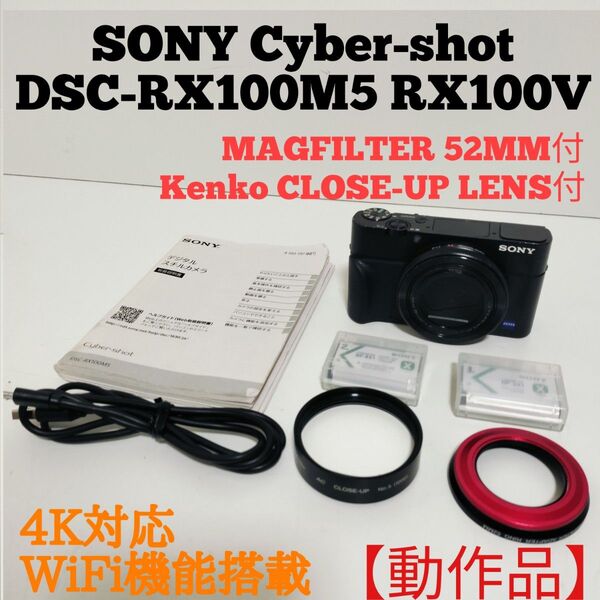 SONYソニーサイバーショット RX100V DSC-RX100M5 Cyber-shot コンパクトデジタルカメラ
