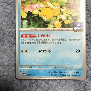 コダック ジムバトル しめりけ プロモ