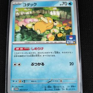 コダック ゴルダック セット プロモ しめりけ ジムバトル
