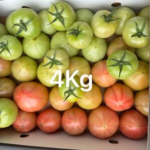 熊本産トマト 4Kg