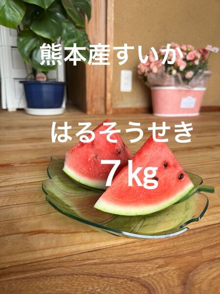 熊本産スイカ 7㎏