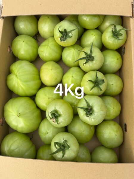 熊本産トマト 4Kg