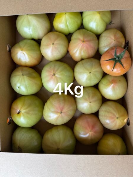 熊本産トマト 4Kg