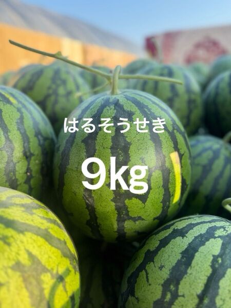熊本産スイカ9㎏