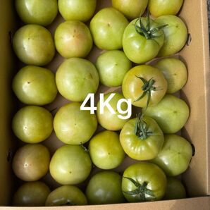 熊本産トマト 4Kg