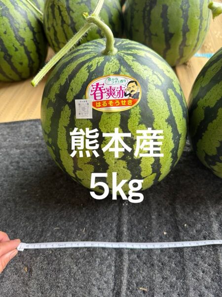 熊本産スイカ5㎏
