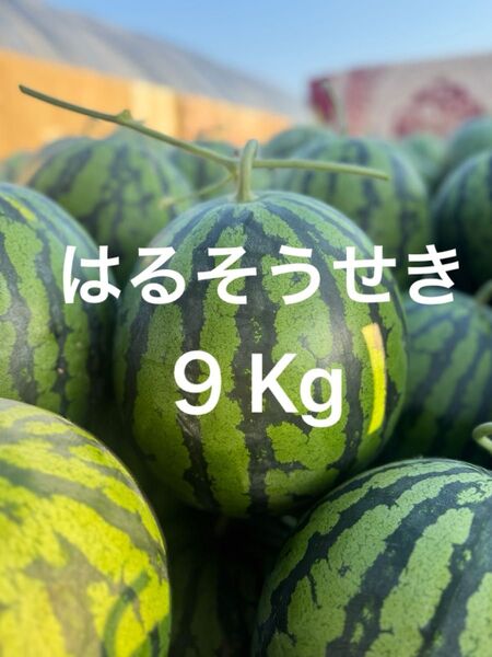 熊本産スイカ9Kg