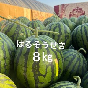 熊本産すいか8Kg