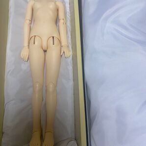 ボークス スーパードルフィー SD少女ボディ フェア肌 女の子 二重関節ひじ 美品