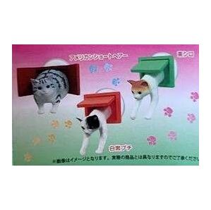 こんにちにゃーす いってきにゃーす シリーズ 茶白 猫 カプセルトイ ガチャ