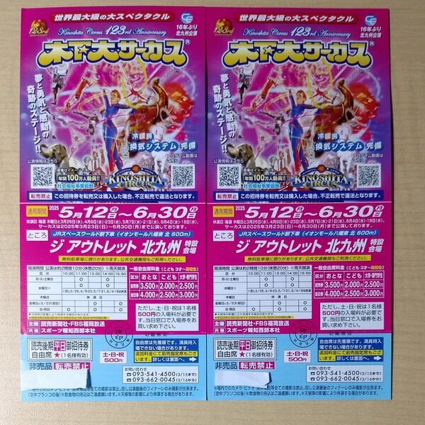 木下大サーカス チケット 2枚セット
