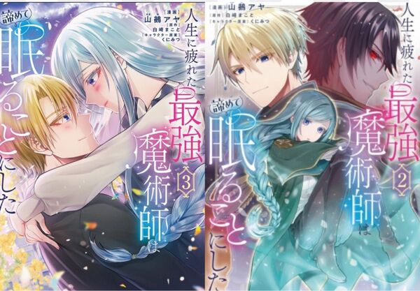 人生に疲れた最強魔術師は諦めて〜