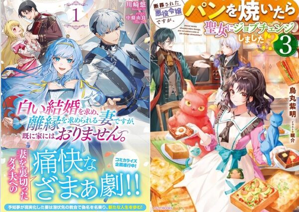 新刊ノベル