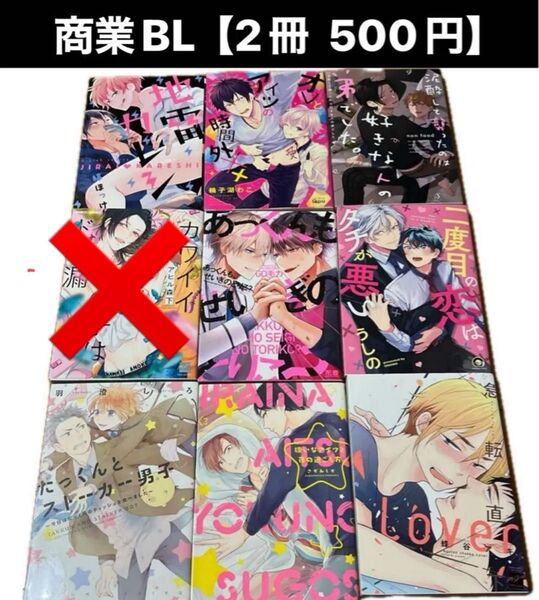 商業BL【2冊 500円】【単品売り 300円】