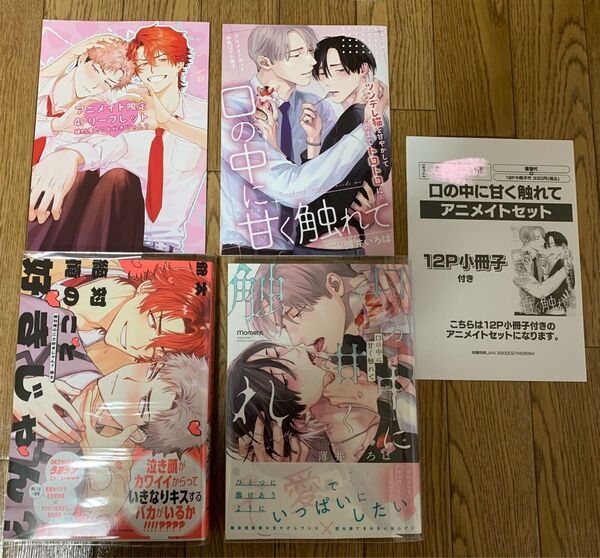 【新刊】爺太『絶対俺のこと好きじゃん?』薄井いろは『口の中に甘く触れて』アニメイトセット特典12P小冊子 4Pリーフレット