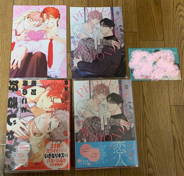 【新刊】爺太『絶対俺のこと好きじゃん?』町田とまと『パーフェクトフェイクハニー』アニメイト限定4Pリーフレット 特典カラーペーパー