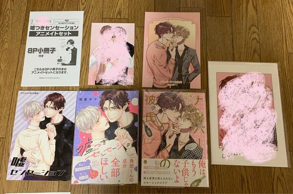 鳩屋タマ『嘘つきセンセーション』あめのジジ『ナンバーワンの彼氏』アニメイト コミコミ小冊子 イラストカード 店舗共通カラーペーパー