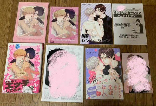 nikuhen『B組の名物カップルはまだ付き合ってない』鳩屋タマ『嘘つきセンセーション』コミコミ アニメイト 小冊子 リーフレット