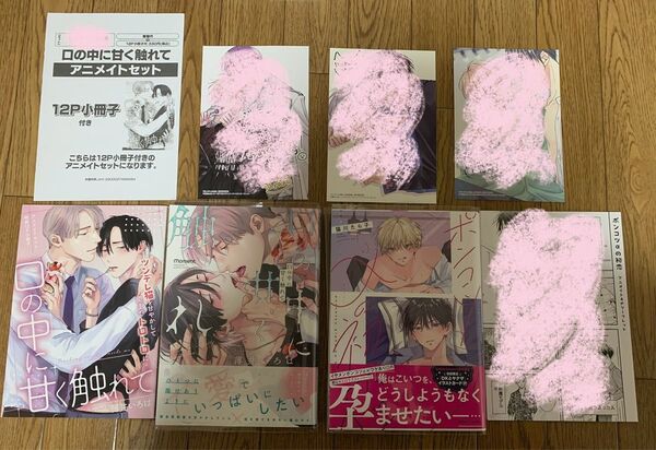 薄井いろは『口の中に甘く触れて』猫川たら子『ポンコツαの初恋』アニメイト 小冊子 リーフレット 応援店特約店初回限定イラストカード