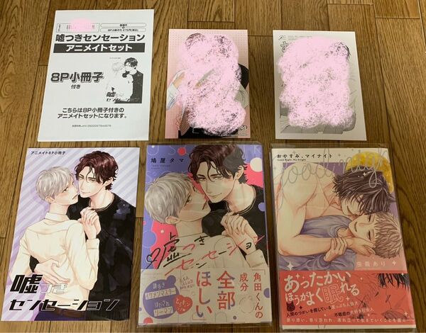 鳩屋タマ『嘘つきセンセーション』虫義あり『おやすみ、マイナイト』アニメイトセット8P小冊子 特典イラストカード 購入特典ペーパー