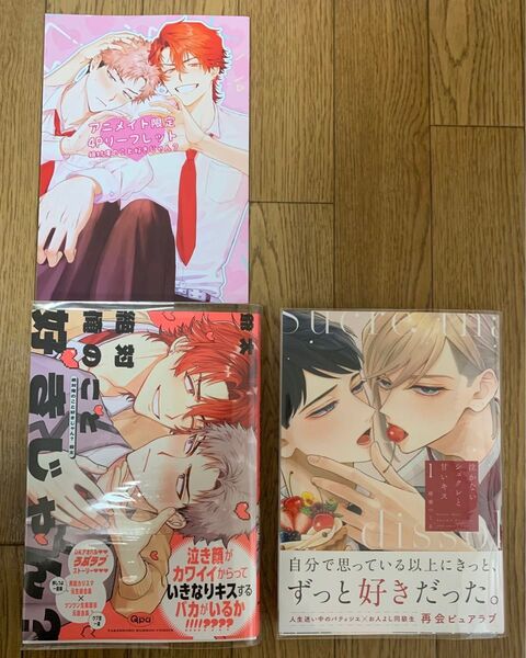 【新刊】BLコミック 爺太『絶対俺のこと好きじゃん?』南華つくる『泣かないシュクレと甘いキス 1巻』アニメイト限定4Pリーフレット