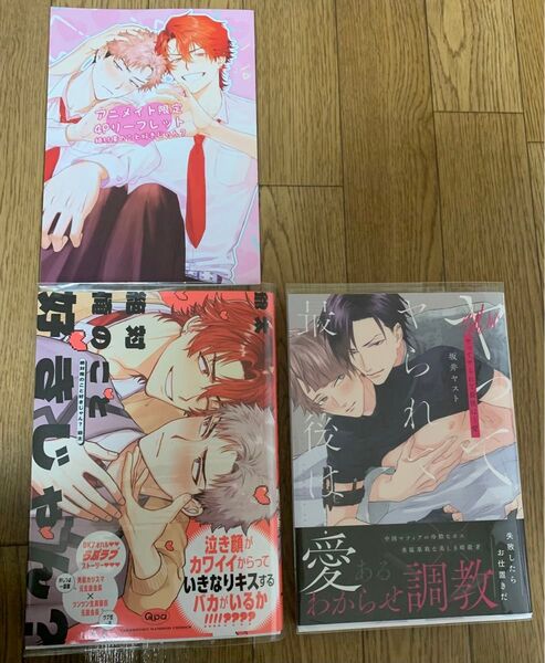 【新刊】BLコミック 爺太『絶対俺のこと好きじゃん?』坂井ヤスト『ヤってヤられて最後は…愛』アニメイト限定4Pリーフレット