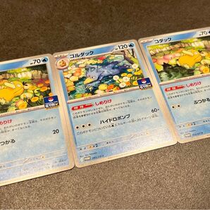 コダック ゴルダック しめりけ 3枚セット