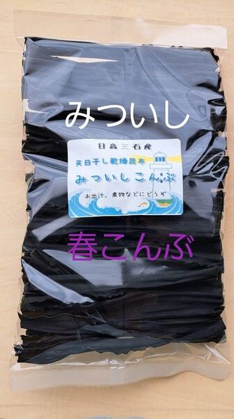 ☆みついしこんぶ【北海道日高三石産】100g×1個