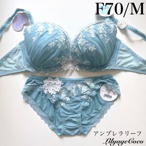 【正規品】総額5390円【アンブレラリーフ】F70/M ブラジャーショーツ サックス