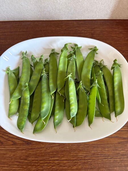 とりたて 絹さやエンドウ 100g