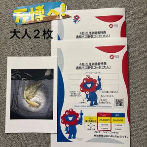 通期パスコード割引 大阪万博 大人二枚 おまけ付