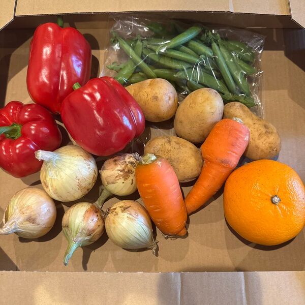 新鮮野菜詰め合わせ
