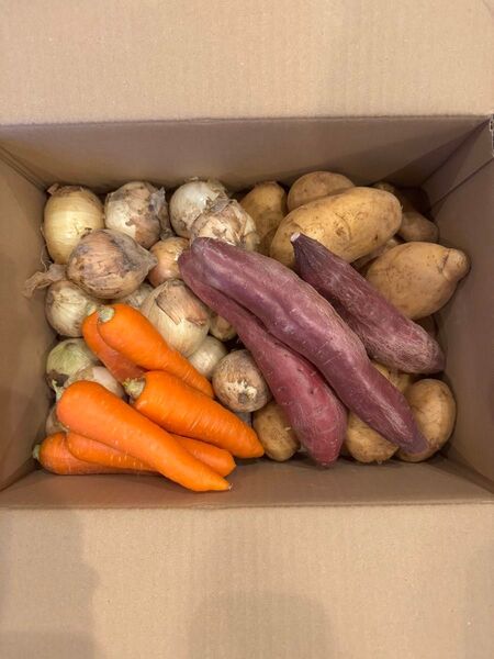 新鮮野菜詰め合わせタイムセール