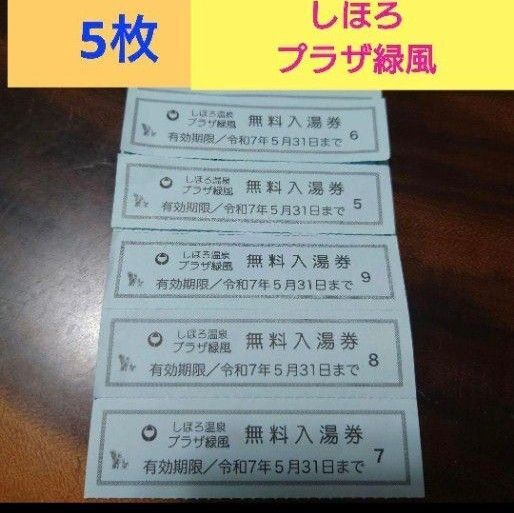 北海道士幌町 プラザ緑風入浴券