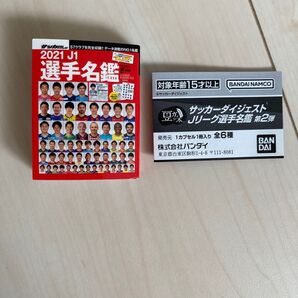 2021 J1 選手名鑑 ミニサイズ サッカー