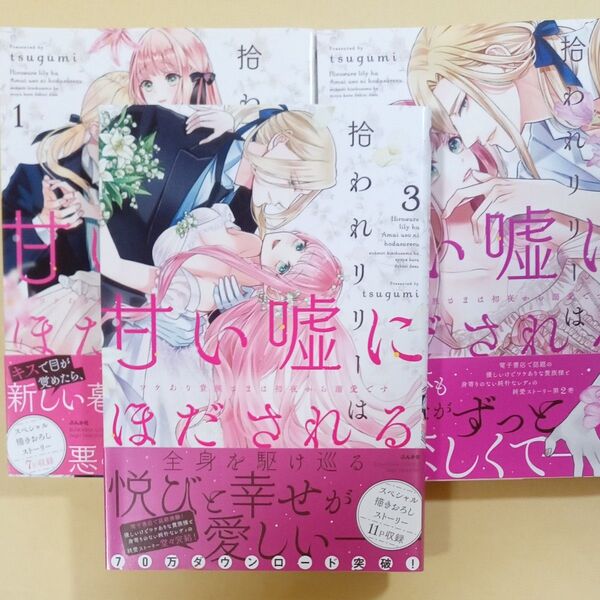 拾われリリーは甘い嘘にほだされる 1~3巻 (BUNKASHA COMICS S・gi) tsugumi すべて初版・帯付き