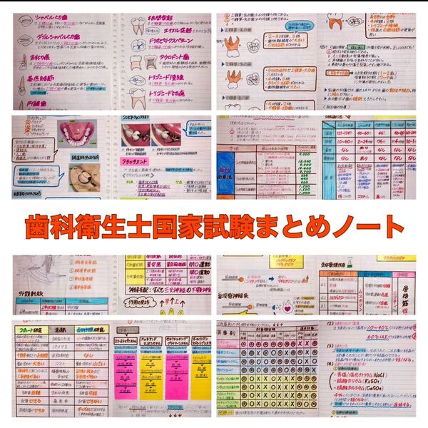 歯科衛生士国家試験 まとめノート 自己流