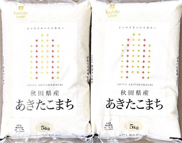 秋田県産 あきたこまち 5kg×2袋 合計10kg