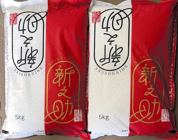 パールライス 新潟県産 新之助 5kg×2袋 合計10kg