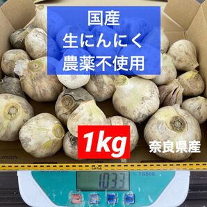 数量限定 農薬不使用 国産 生にんにく 野菜 農家直送 新ニンニク