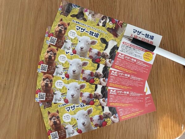 マザー牧場 入場ご招待券 4枚セット
