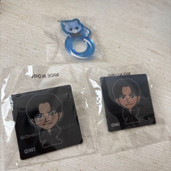 3JSB ECHOES of DUALITY OMI