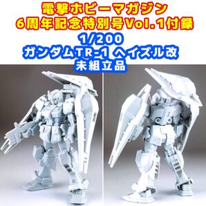 電撃ホビーマガジン6周年記念特別号Vol.1付録 1/200 ヘイズル改