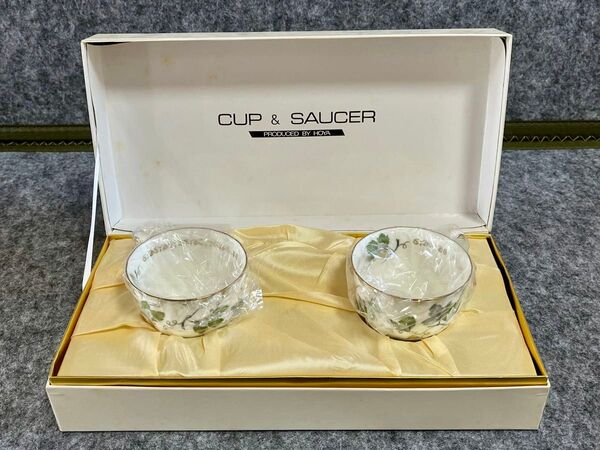 HOYA CUP&SAUCER ホーヤ カップ&ソーサー 2客セット ペアー碗皿 TCP7101 中古品(未使用品)