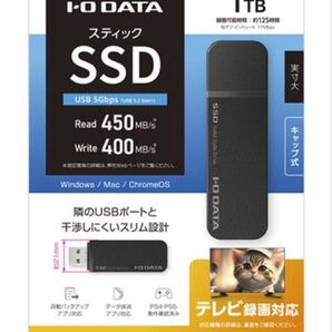 SSPK-UT1 PC/TV/PS4/PS5向けUSB3.2(Gen.1)対応 スティック型SSD 1TB ブラック