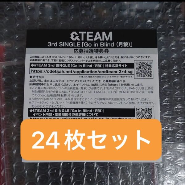&TEAM Go in Blind 月狼 シリアル 24枚セット