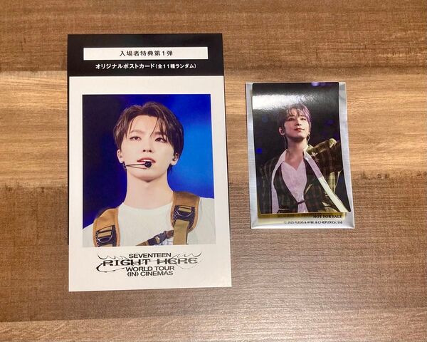 SEVENTEEN RIGHT HERE WORLD TOUR 入場特典 ディノ おまけ付き