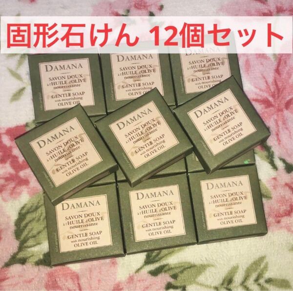DAMANA ダマナ 固形 石けん 12個 まとめ売り