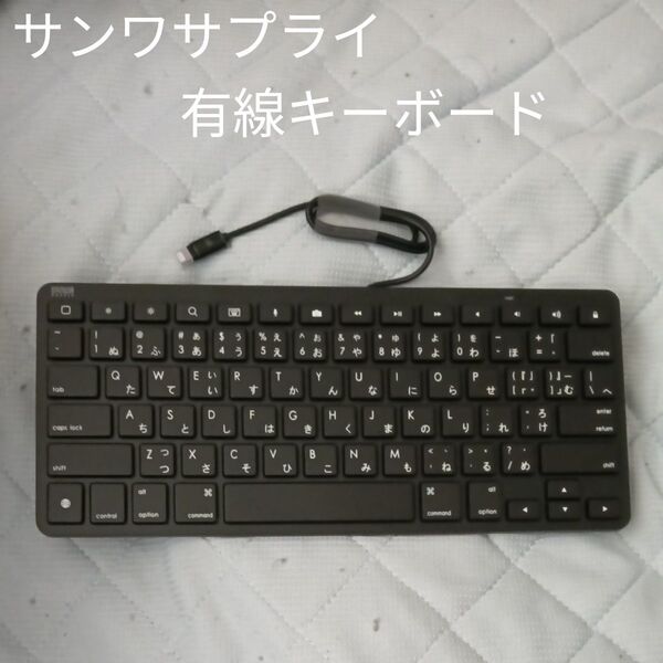 未使用に近い iPhone キーボード 有線ローマ字入力
