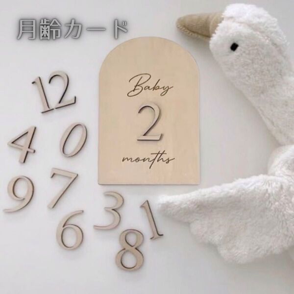 限定SALE★インスタ映え 月齢フォト 月齢カード 出産準備 マンスリーカード ベビー 子供 成長記録